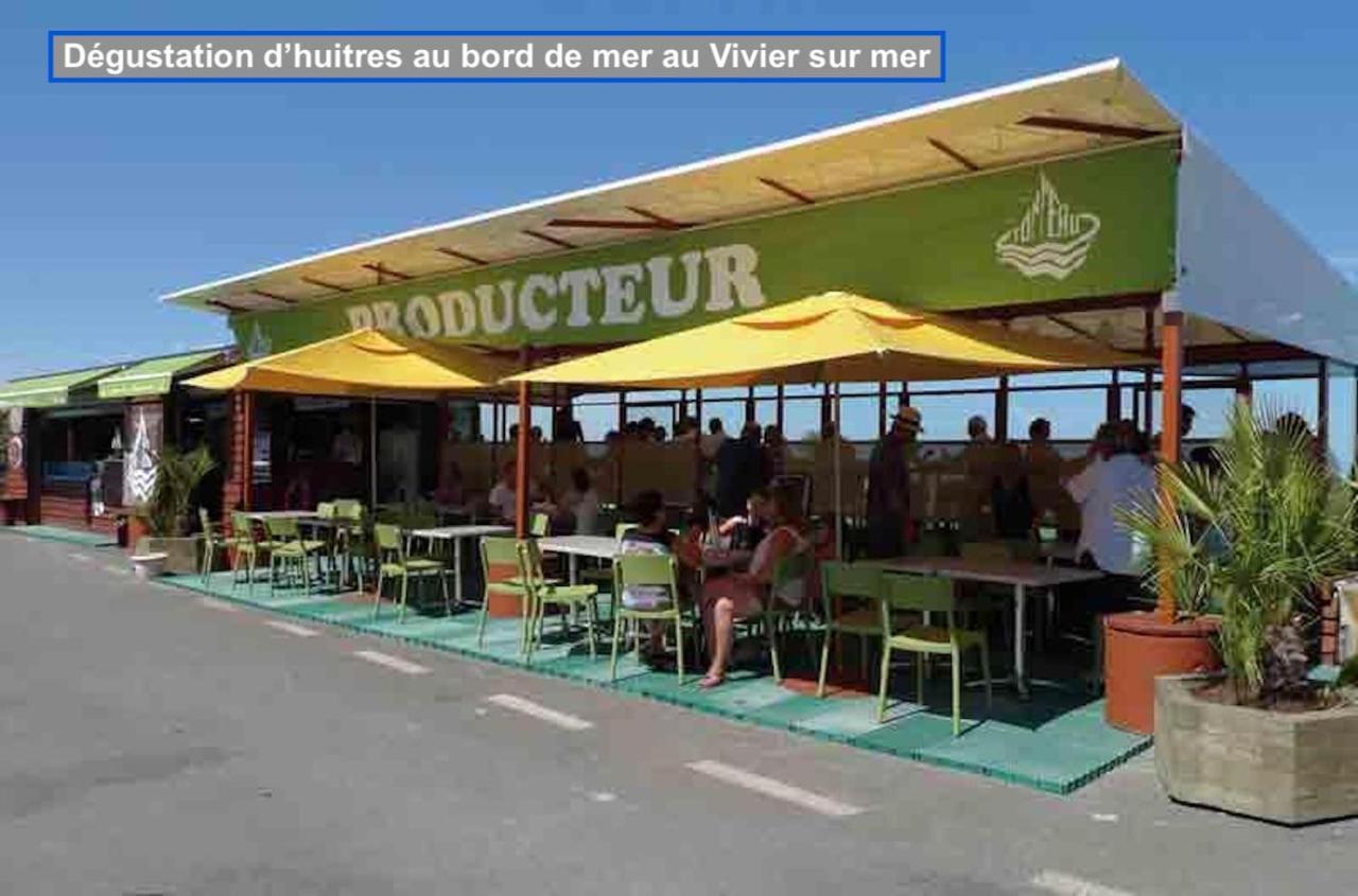 Magnifique Appartement Pres De La Mer Et Du Mt St Michel En Bretagne Le Vivier-sur-Mer Ngoại thất bức ảnh